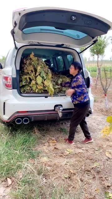 卖我母亲的车需要什么手续 卖我母亲的车需要什么手续呢