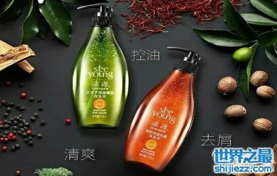 洗发水有什么大牌子的好用 洗发水有什么大牌子的好用又便宜