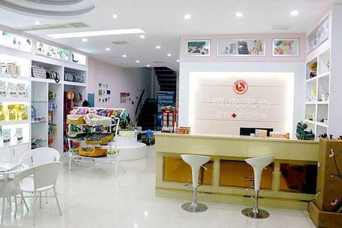 女人开始创业做什么好 女人创业开店做什么项目好