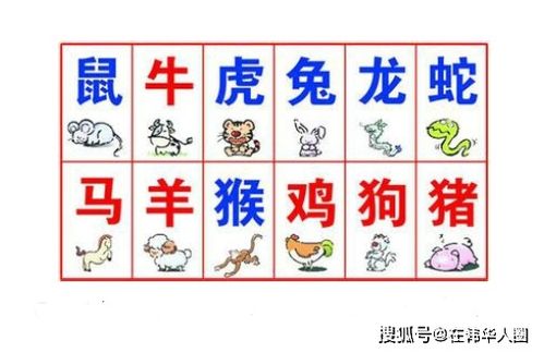 十二生肖最佳朋友配对组合 十二生肖最佳朋友配对组合是什么