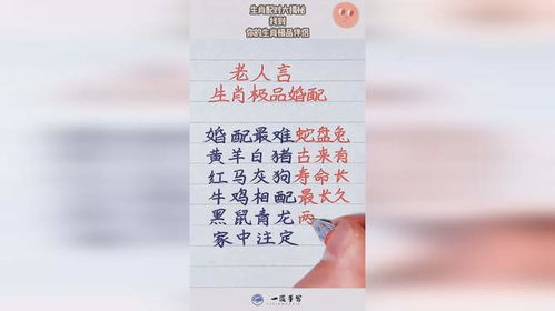 十二生肖配对最佳搭配图片 十二生肖配对最佳搭配图片大全