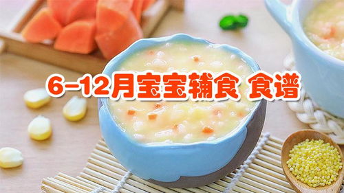 足月婴儿辅食食谱大全图 足月婴儿辅食食谱大全图解
