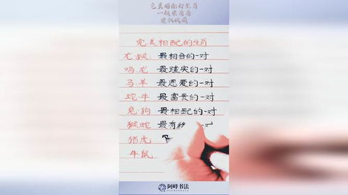 十二生肖理想配对 十二生肖的配对婚姻配对
