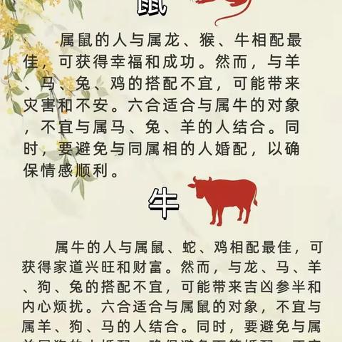 十二生肖配对吉凶表(二) 十二生肖配对表查询911查询