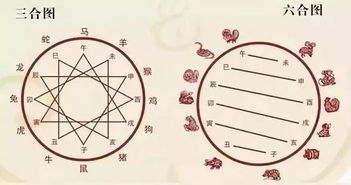 十二生肖配对姻缘表马和羊 十二生肖配对姻缘表马和羊合不合