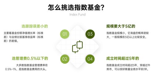 教育基金分红型什么意思 