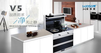 蓝炬星集成灶加盟条件 蓝炬星集成灶加盟费用多少钱