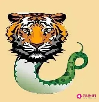 十二生肖算命虎蛇配对好吗 