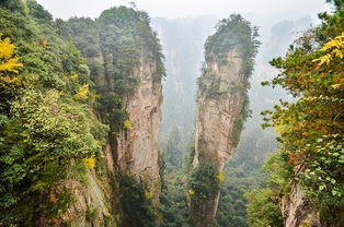 张家界大同旅游攻略 从大同去张家界走什么线路?