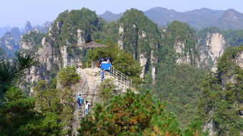 张家界全程坐车旅游攻略 张家界全程坐车旅游攻略路线