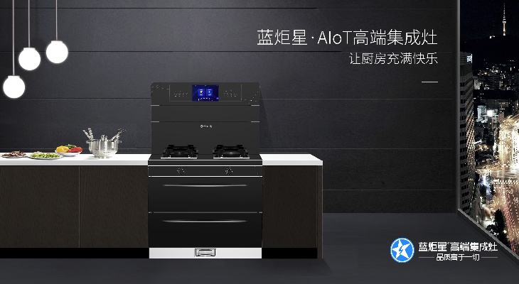 豪华模压集成灶加盟 工作中提升自我的意义