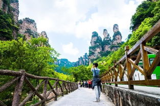 到张家界跟团旅游攻略 到张家界跟团旅游攻略图