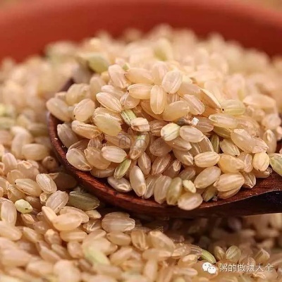 糙米是什么米煮粥好吃 糙米是什么米 食用方法