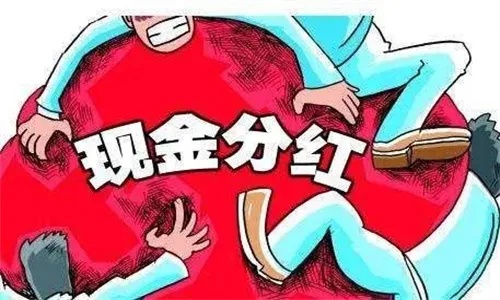 基金分红每份什么意思 基金分红每份什么意思啊
