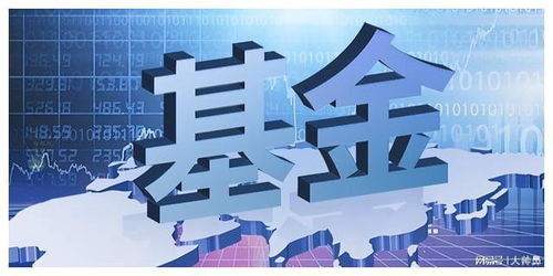 股票和基金分红是什么意思 股票和基金分红是什么意思区别