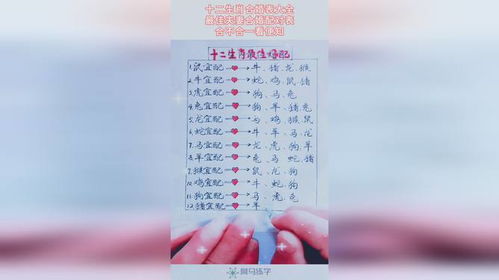 属相配对十二生肖配对 属相配对表 属相婚配 十二生肖属相配对