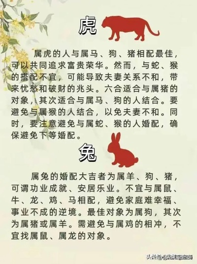 十二生肖情侣配对表图片 十二生肖情侣配对表图片真实