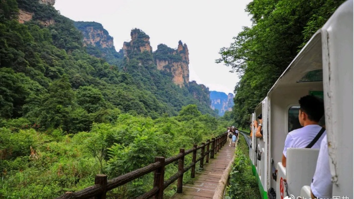 南京张家界旅游攻略 南京张家界旅游攻略路线