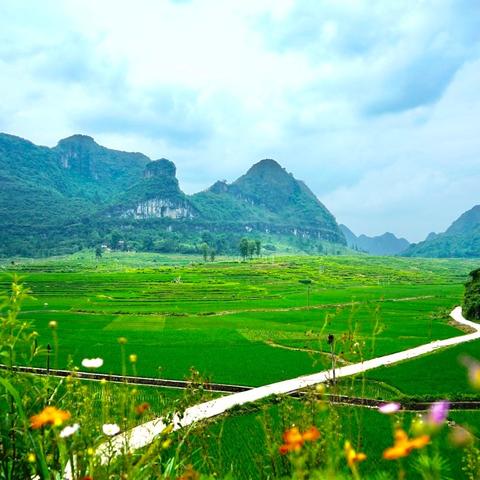 张家界和贵州旅游攻略 张家界和贵州哪个更值得去?