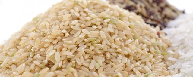 糙米是什么米怎么做好吃 糙米是什么米怎么做好吃又简单