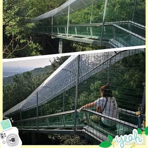 湘西张家界华东旅游攻略 华东五市和张家界哪个好玩