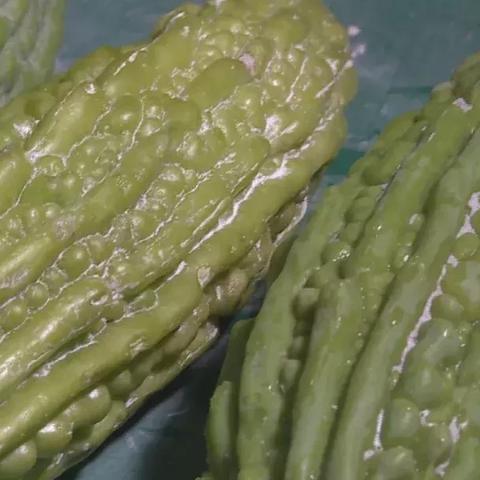 花甲煮苦瓜怎么做才好吃 花甲可以和苦瓜炒蛋一起吃吗