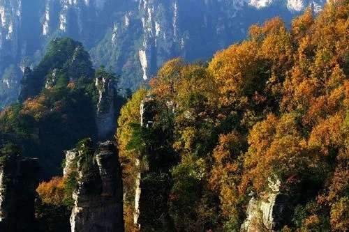 秋季旅游张家界景点攻略 秋季旅游张家界景点攻略图
