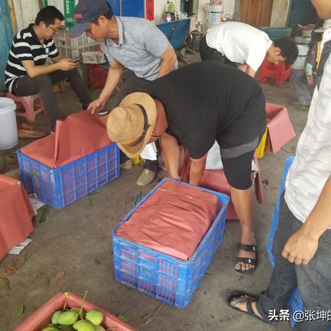 三亚注册装饰材料公司代办费用 三亚注册装饰材料公司代办费用多少钱