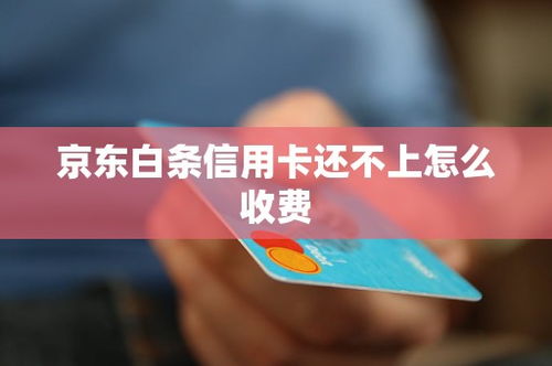 薅尽白条羊毛指南，信用工具的正确打开方式
