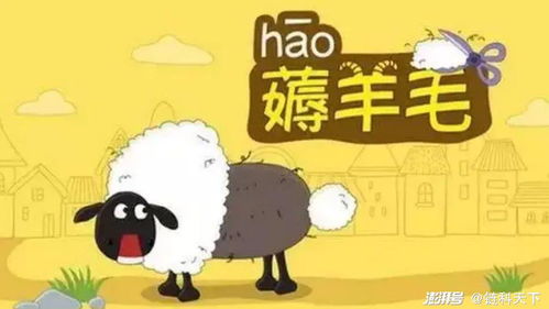 杭州羊小咩便荔卡，薅尽羊毛的终极指南