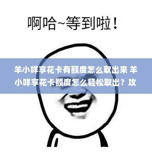 自己的羊小咩享花卡可以取现吗？