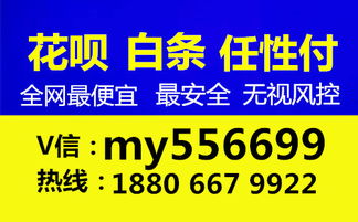 揭秘商家码白条提现手续费，你需要知道的一切