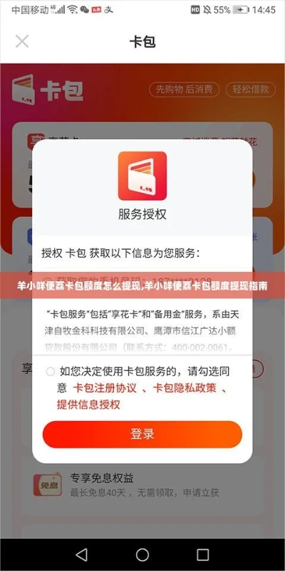 羊小咩便荔卡额度提现及总额度查询指南