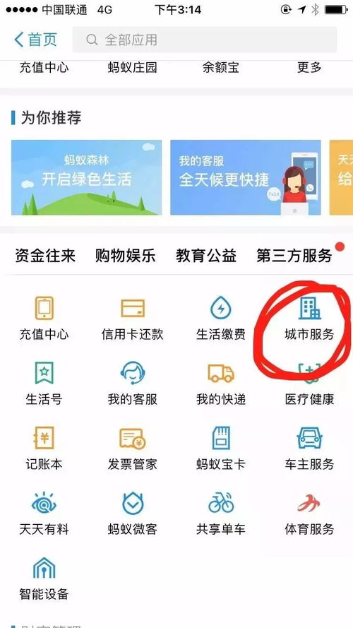 商家分期乐提现指南，一步步教你轻松提现