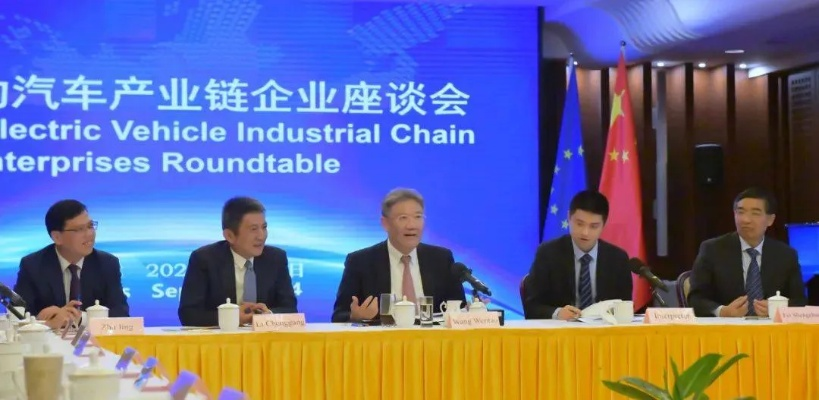 中欧新能源车品牌，从竞争到合作的未来之路