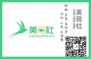 成都驴妈妈微信分付套出来，轻松玩转旅游支付
