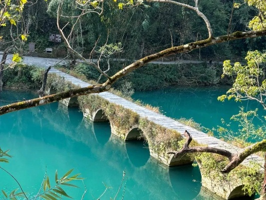 成都驴妈妈白条套现秘籍，玩转旅游信用支付的省钱之道