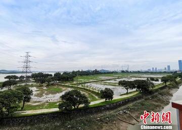 成都白条提现哪家靠谱？避坑指南来了！