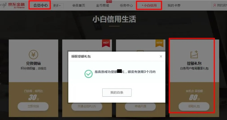 成都京东白条当面提现指南，轻松解决资金周转难题
