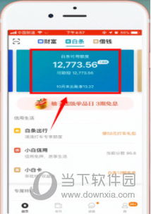 成都京东白条快速提现指南