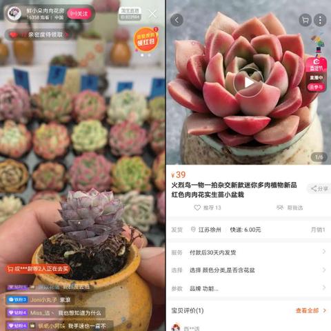 微信小程序购物指南，轻松下单，便捷生活