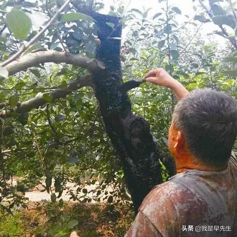 得物佳物分期额度兑现，了解你的购物新选择