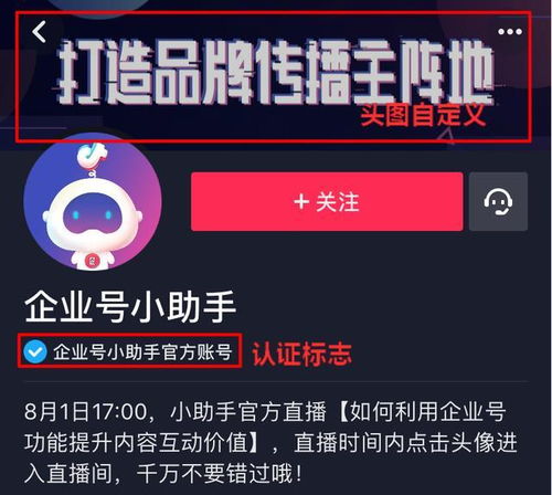 成都抖音月付取现当面，如何轻松提现
