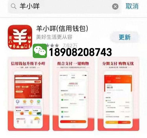 羊小咩便荔卡额度提现与临时额度专区全指南