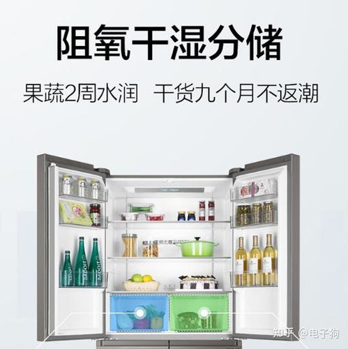 小户型冰箱选购指南，8款高性价比品牌+避坑技巧（附真实案例）