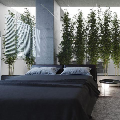 酒吧绿植软装全攻略，品牌、搭配技巧与避坑指南