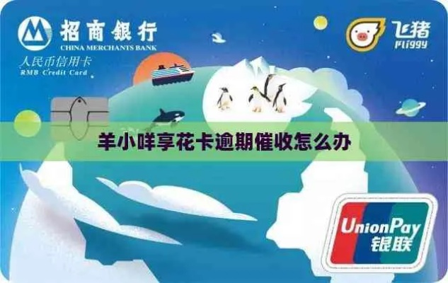 海尔金融的羊小咩享花卡能套出来吗？