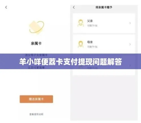 羊小咩便荔卡提现到银行卡全攻略,轻松到账不烦恼! 羊小咩便荔卡提现到银行卡全攻略,轻松到账不烦恼!
