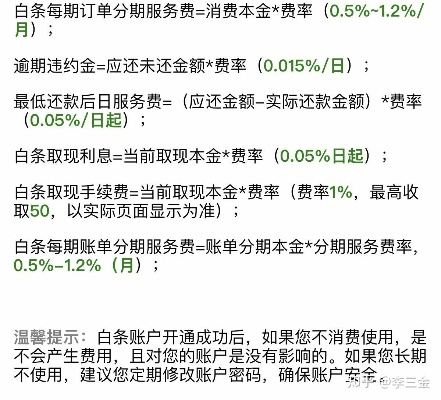 商户提现白条手续费，全面指南