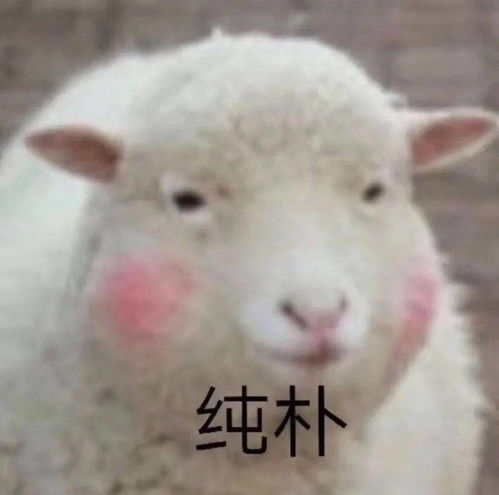 成都当面套羊小咩享花卡提现服务全攻略,手把手教你轻松提现不踩坑! 成都当面套羊小咩享花卡提现服务全攻略,手把手教你轻松提现不踩坑!
